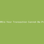 Mtix Your Transaction Cannot Be Processed